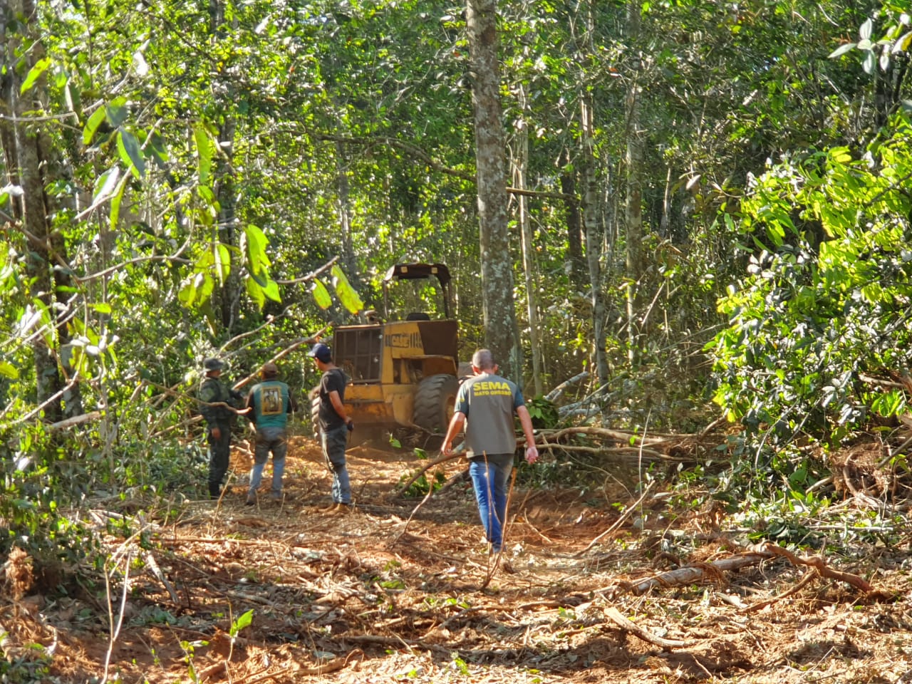 DURANTE OPERAÇÃO|: Sema e PM apreendem três tratores e madeira extraída ilegalmente em Nova  Maringá