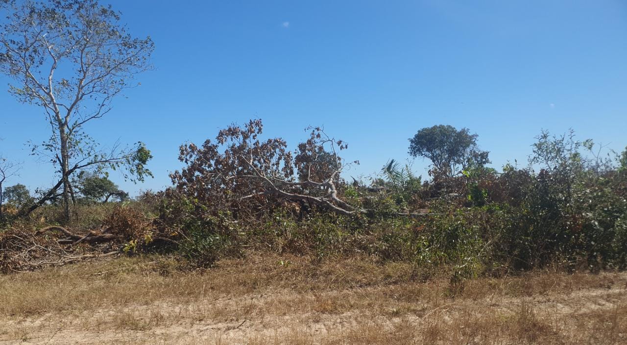 EM COCALINHO|: Sema embarga área de 970 hectares e multa proprietário em R$ 970 mil por desmatamento ilegal