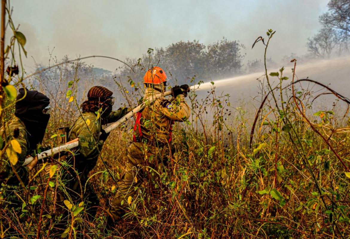INCÊNDIO CONTROLADO|: Bombeiros realizam ações preventivas para garantir extinção do fogo no Pantanal de MT