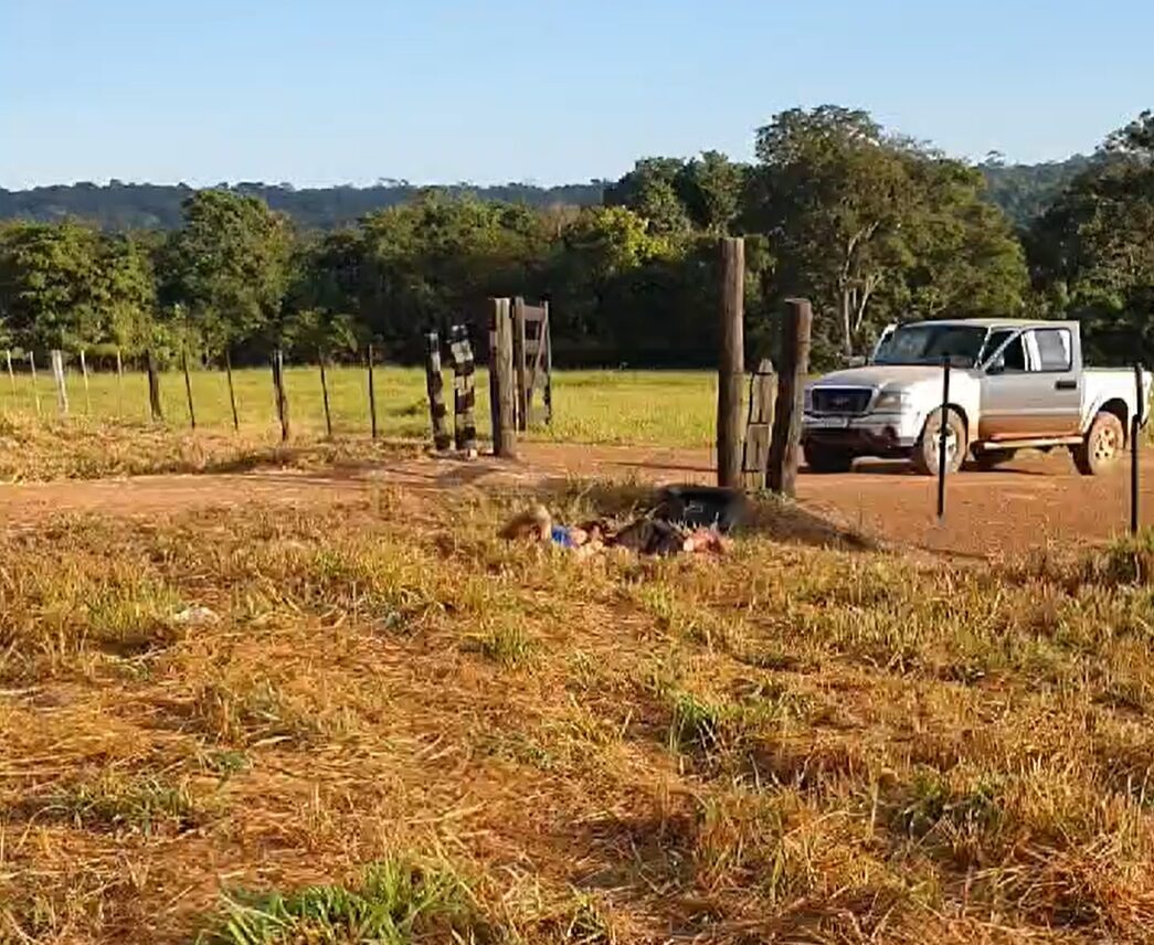 Três trabalhadores são sequestrados em empresa e assassinados em MT