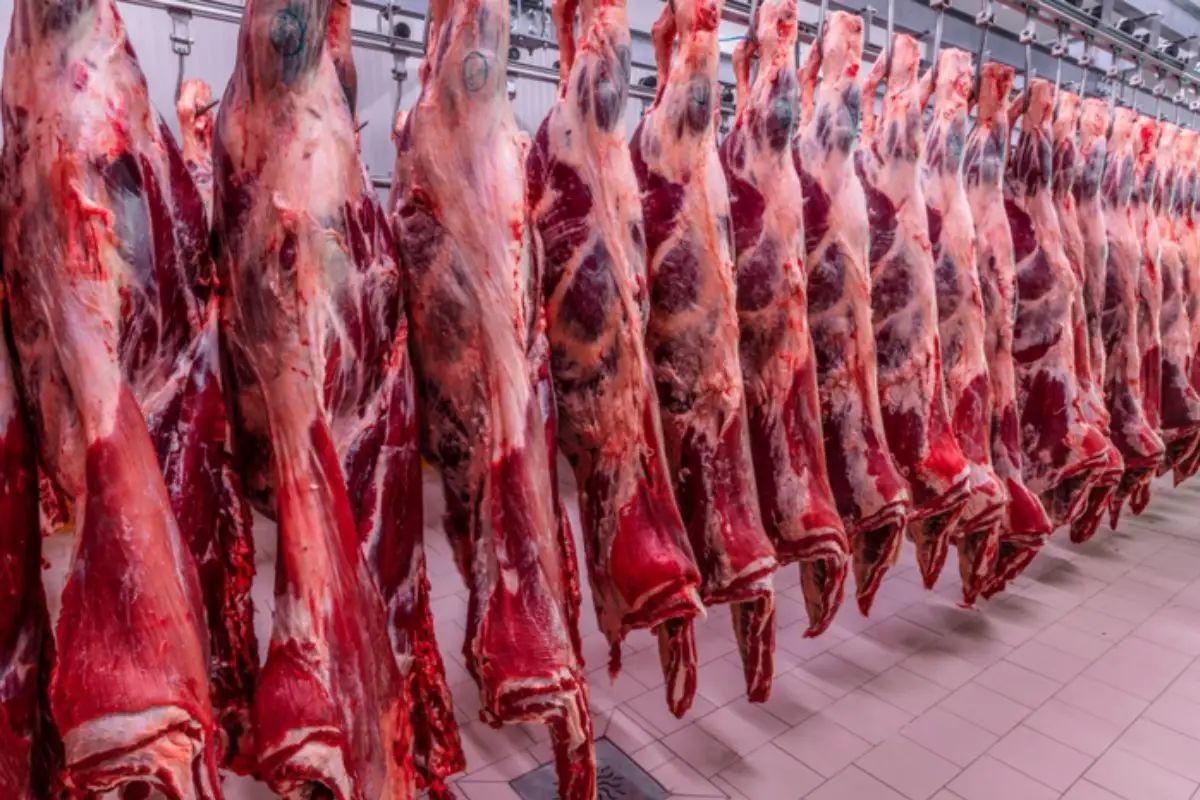 Trump assina decreto para aumentar importações de carne da Argentina, diz Casa Branca