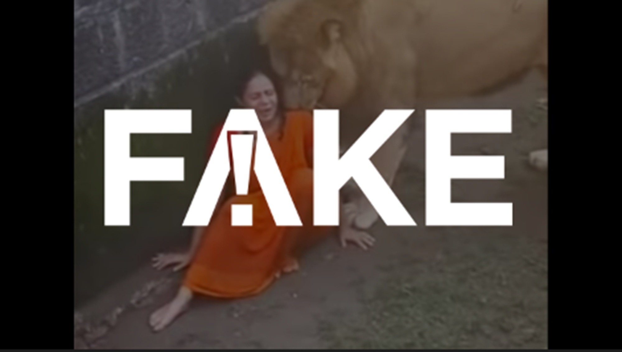É #FAKE vídeo de leão cheirando mulher que teria caído em jaula na Índia; cena foi criada com inteligência artificial